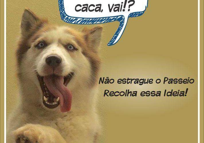 Menina assustada e cão herói em um castelo perigoso