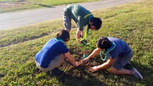 Mutirão Nacional Ecológico Escoteiro 2018 