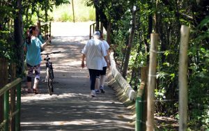 Pessoas caminham no Parque Ecológico de Águas Claras — Foto: Gabriel Jabur/Agência Brasília