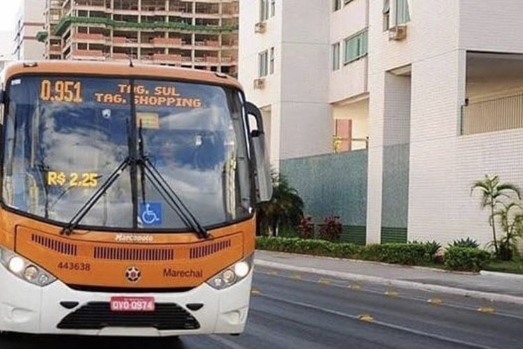 Viação Santa Clara retoma cinco linhas ao itinerário do transporte coletivo