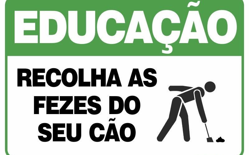 Fezes dos cães: Tudo o que precisa de saber