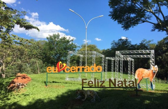 Faixas de pedestres são pintadas em Ipumirim para melhorar a