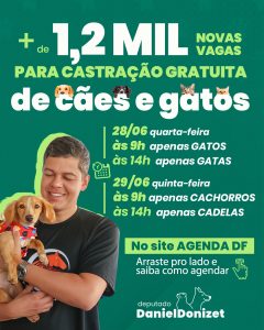 Castração gratuita no DF