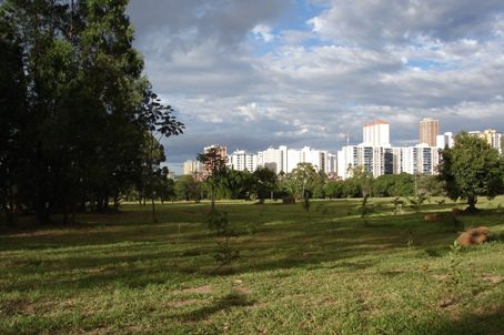 Parque Águas Claras - O que saber antes de ir (ATUALIZADO 2023)