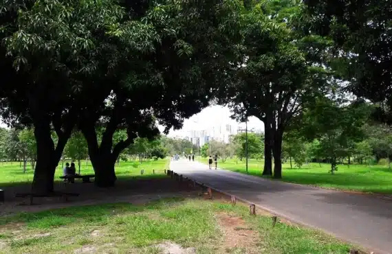 Assalto termina em esfaqueamento no Parque de Águas Claras