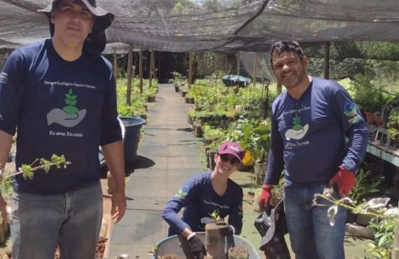 De muda em muda, voluntários preservam o bioma cerrado no parque de águas claras.