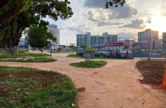 Perigo ao passear com cachorros no Parque Sul