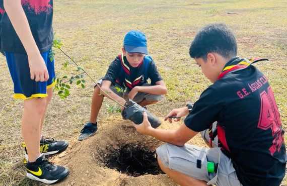 Plantio de mais de 100 mudas de árvores em Águas Claras