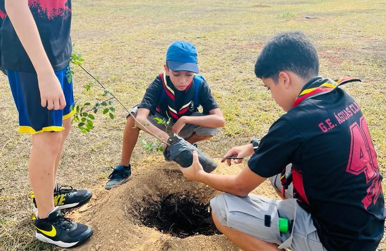 Plantio de mais de 100 mudas de árvores em Águas Claras