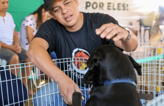 Feira "Adote um Amigo" chega a Águas Claras neste sábado