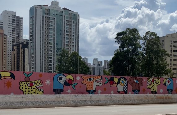 Artista realiza obra em mural de 38 metros em Águas Claras