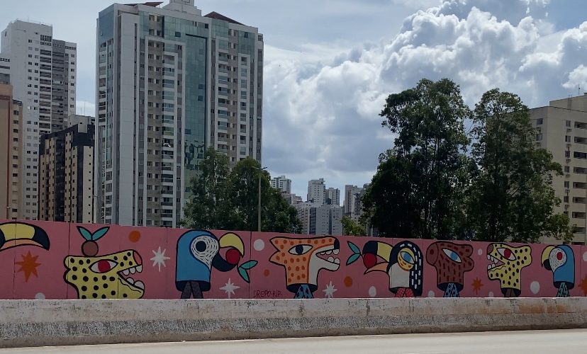 Artista realiza obra em mural de 38 metros em Águas Claras