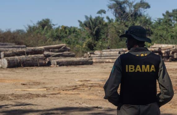 Polícia prende morador de Águas Claras que ameaçou agente do Ibama