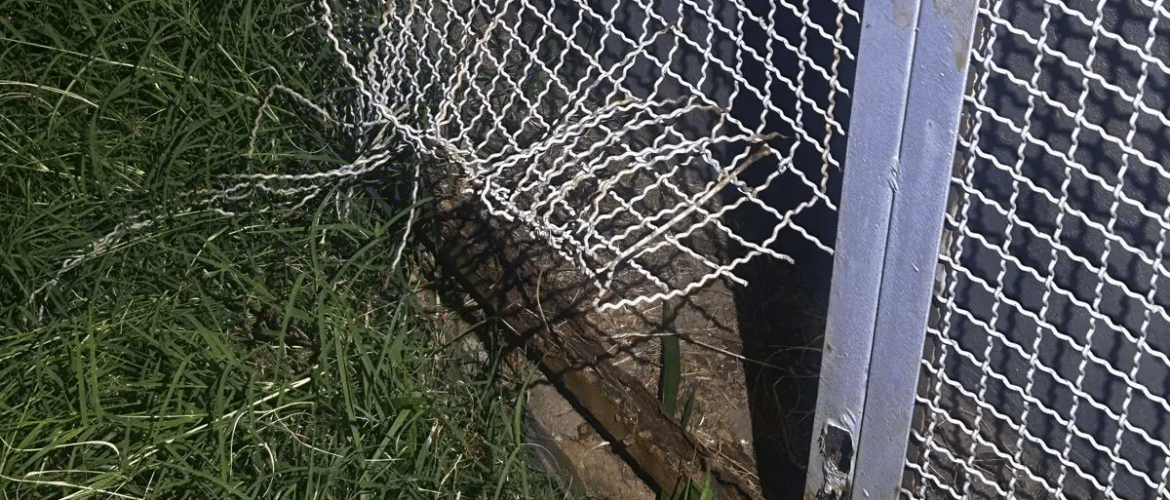 Homem é flagrado furtando cabos de energia em subestação de Águas Claras