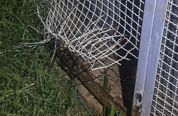 Homem é flagrado furtando cabos de energia em subestação de Águas Claras